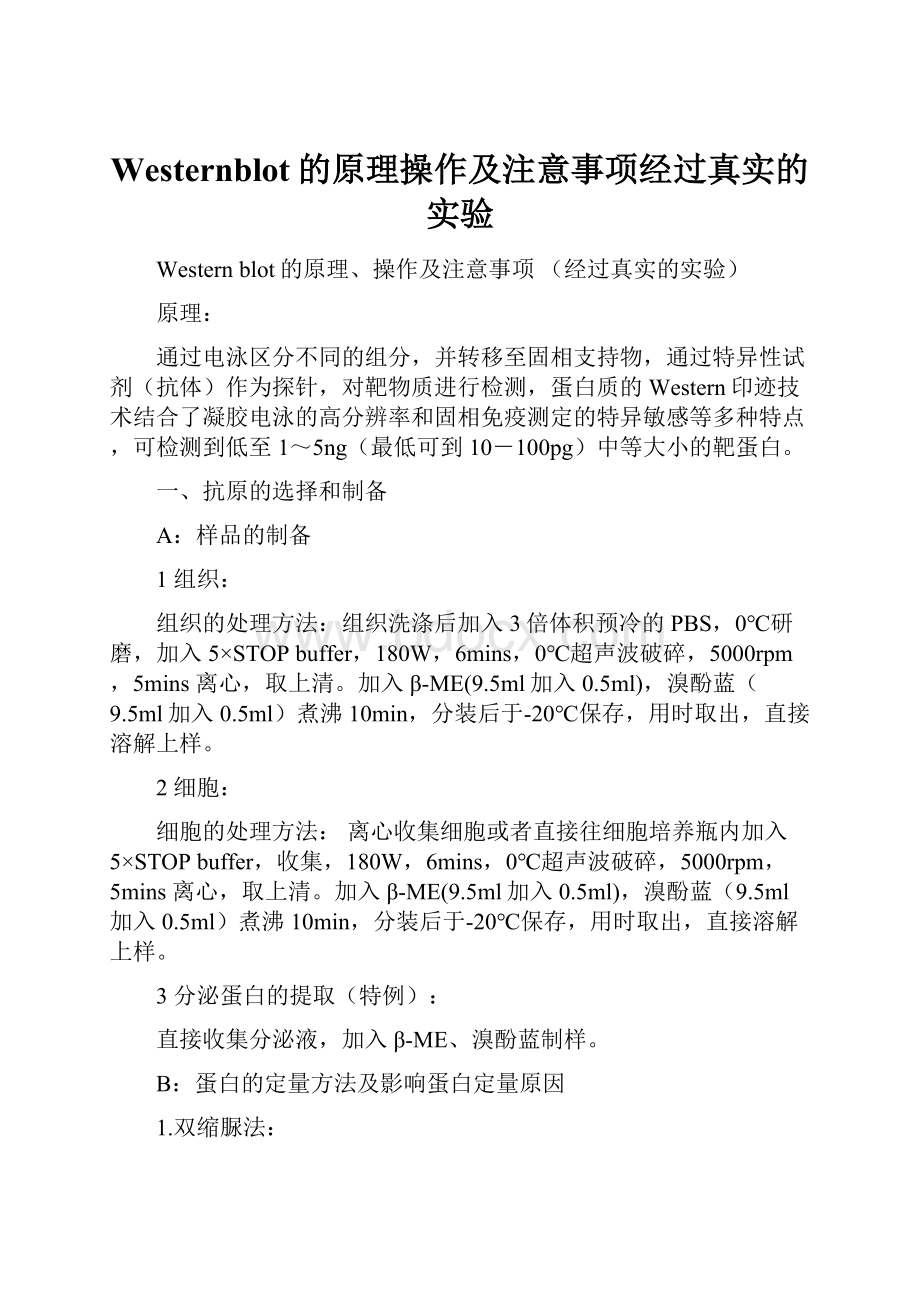 Westernblot的原理操作及注意事项经过真实的实验文档格式.docx_第1页