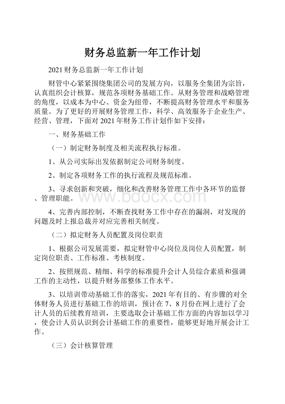 财务总监新一年工作计划.docx