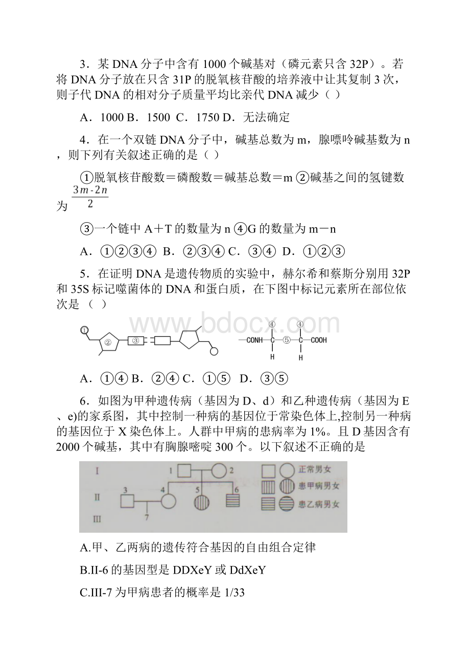 基因的本质测试题Word格式.docx_第2页