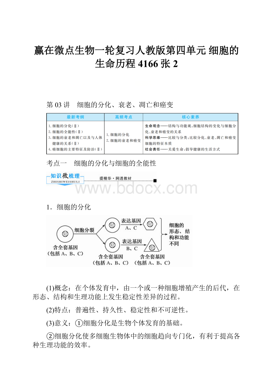 赢在微点生物一轮复习人教版第四单元细胞的生命历程 4166张 2Word格式.docx_第1页