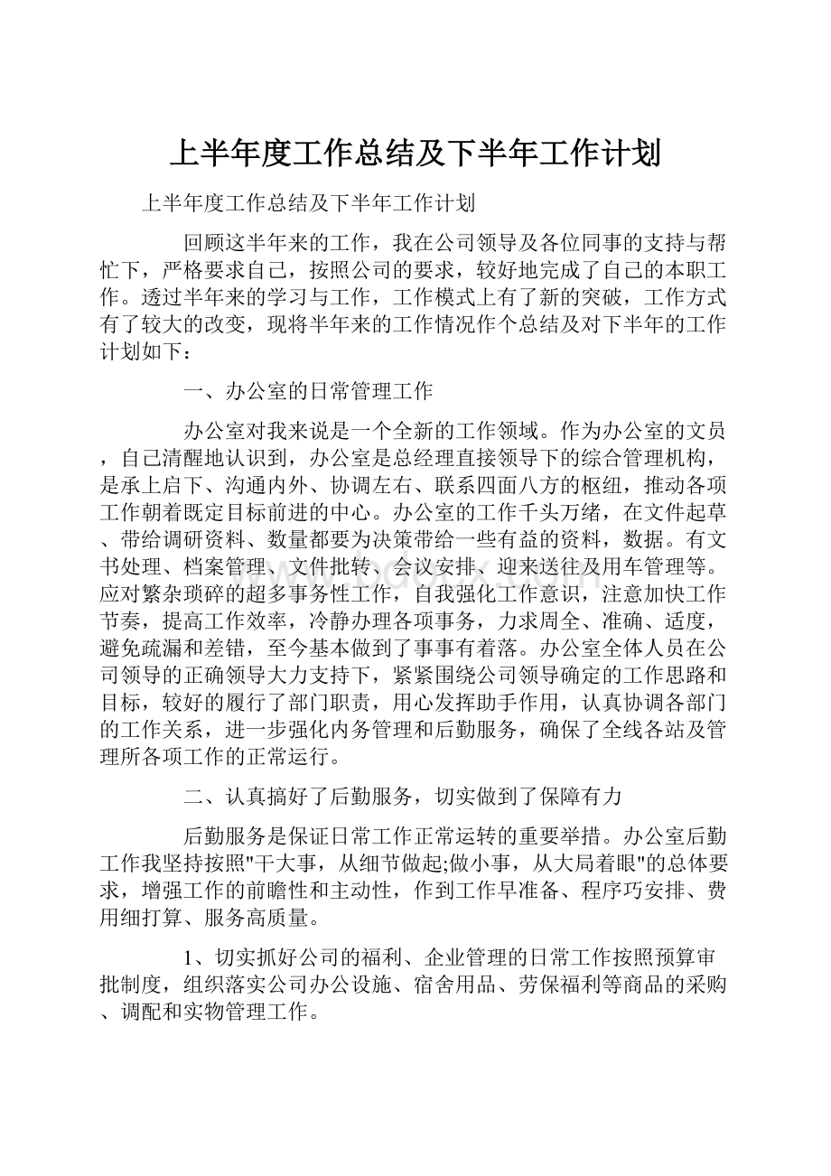 上半年度工作总结及下半年工作计划.docx