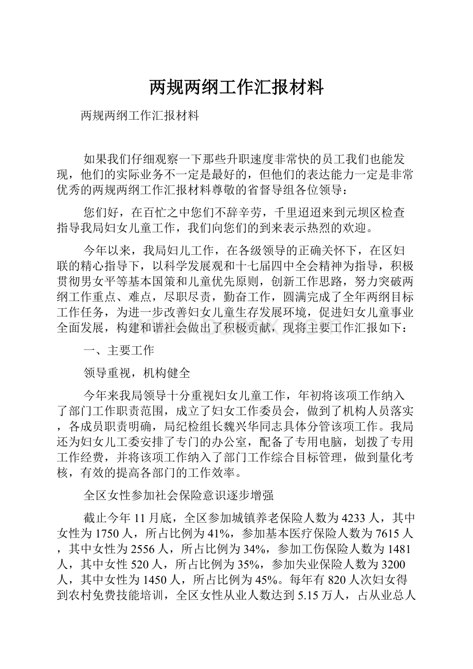 两规两纲工作汇报材料Word格式文档下载.docx_第1页