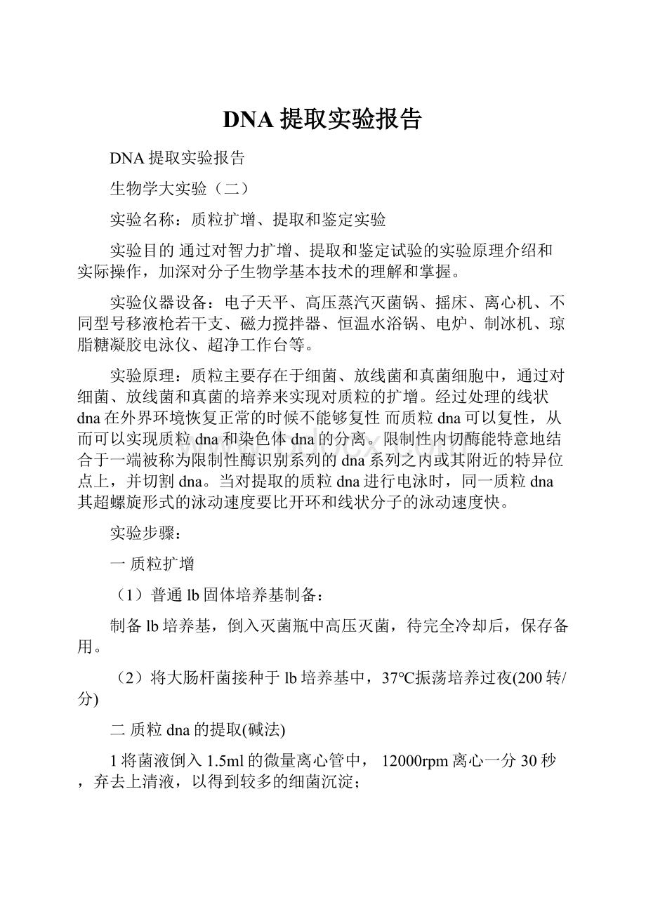 DNA提取实验报告Word文档格式.docx