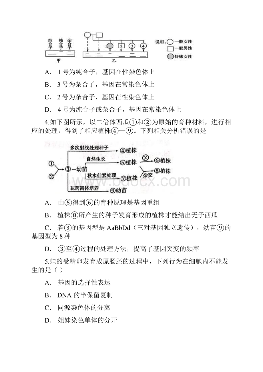 北师大版高中生物二轮复习专题二《遗传与进化》单元检测题解析版.docx_第2页