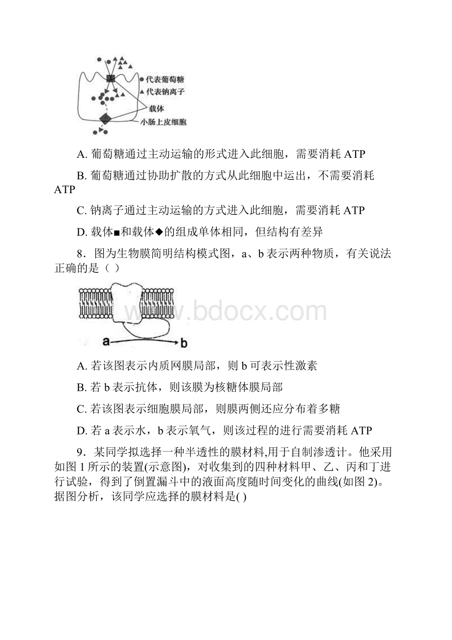 高三生物一轮复习第7讲物质的输入和输出4专题练新人教版Word格式文档下载.docx_第3页