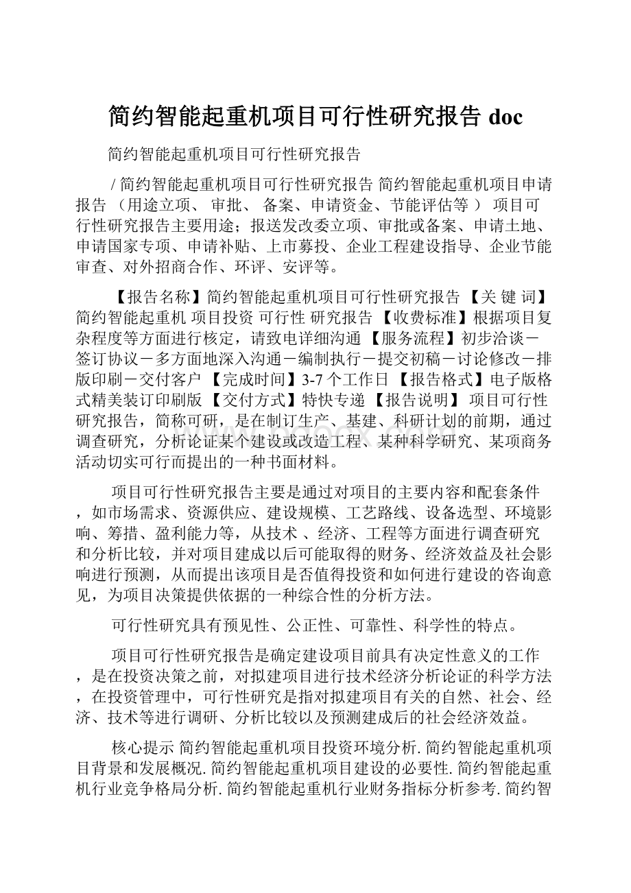 简约智能起重机项目可行性研究报告doc.docx