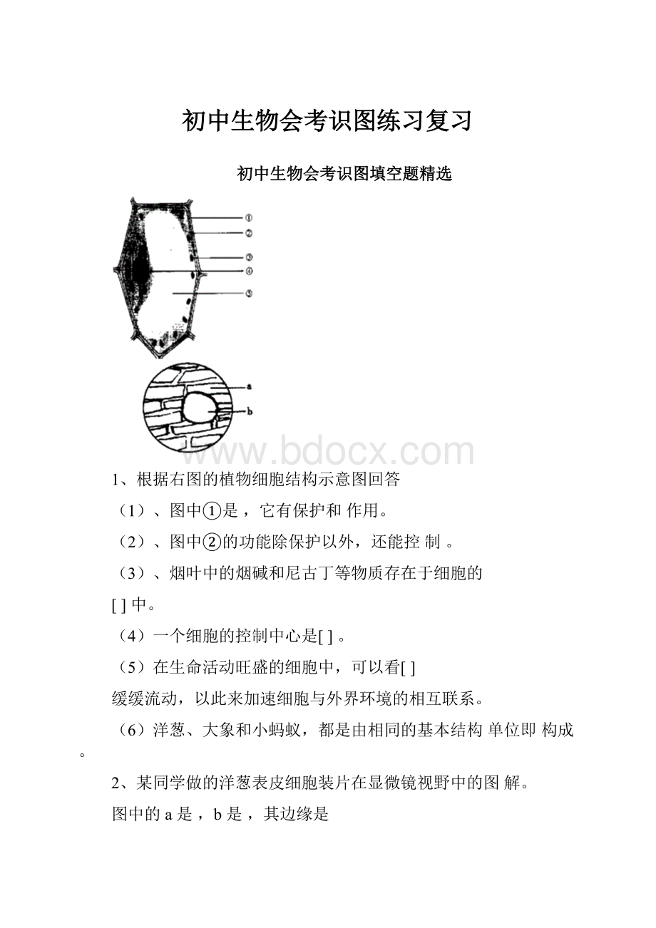 初中生物会考识图练习复习Word文件下载.docx_第1页