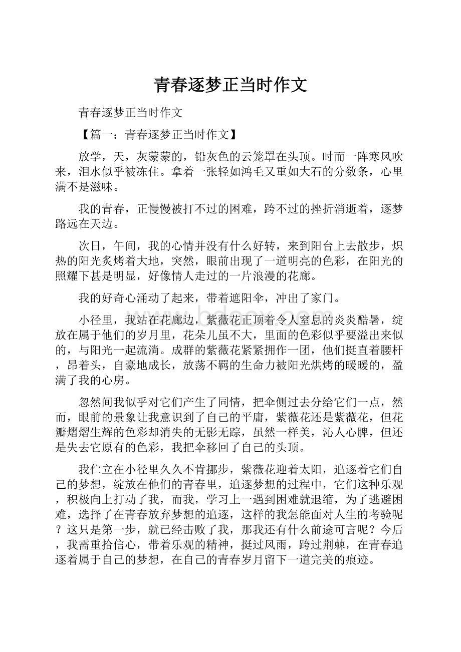 青春逐梦正当时作文Word文件下载.docx