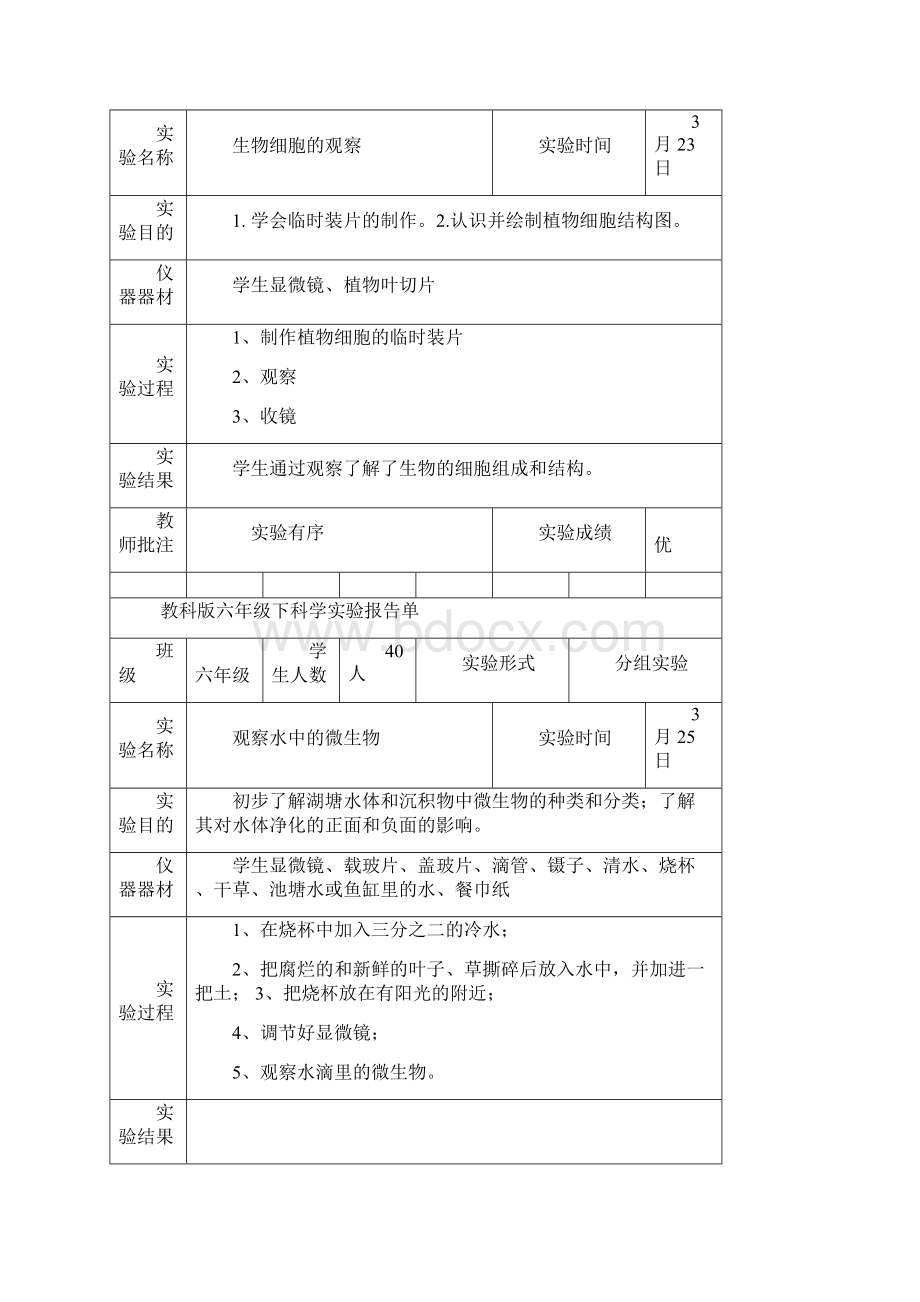 六年级科学下册实验报告单 新版.docx_第3页