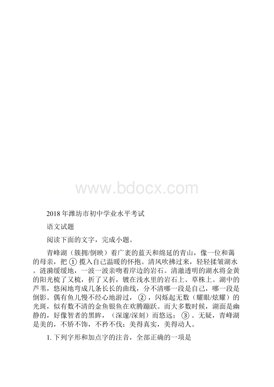 山东省潍坊市中考语文试题及答案解析word版.docx_第2页