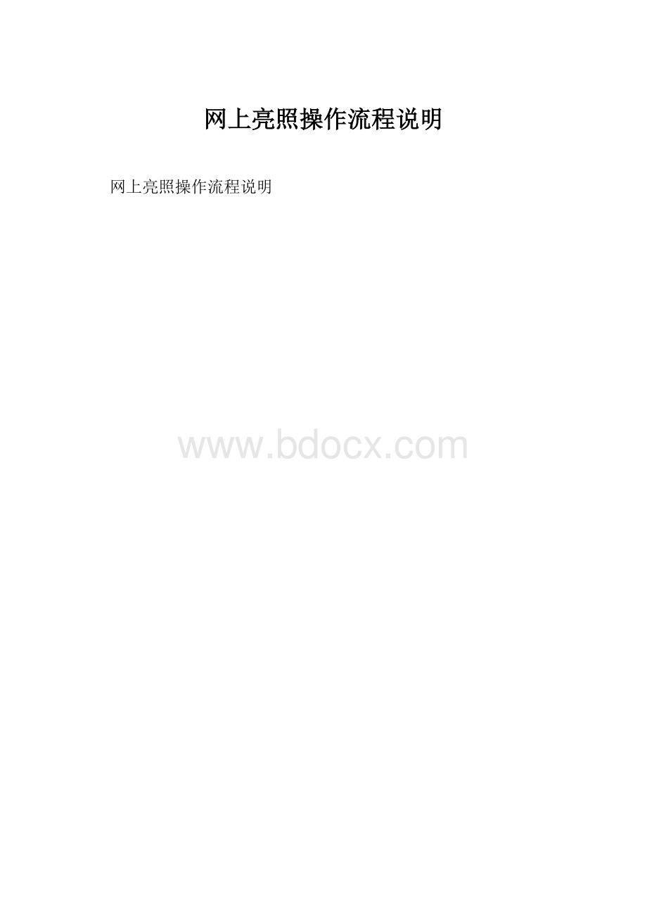 网上亮照操作流程说明Word文件下载.docx