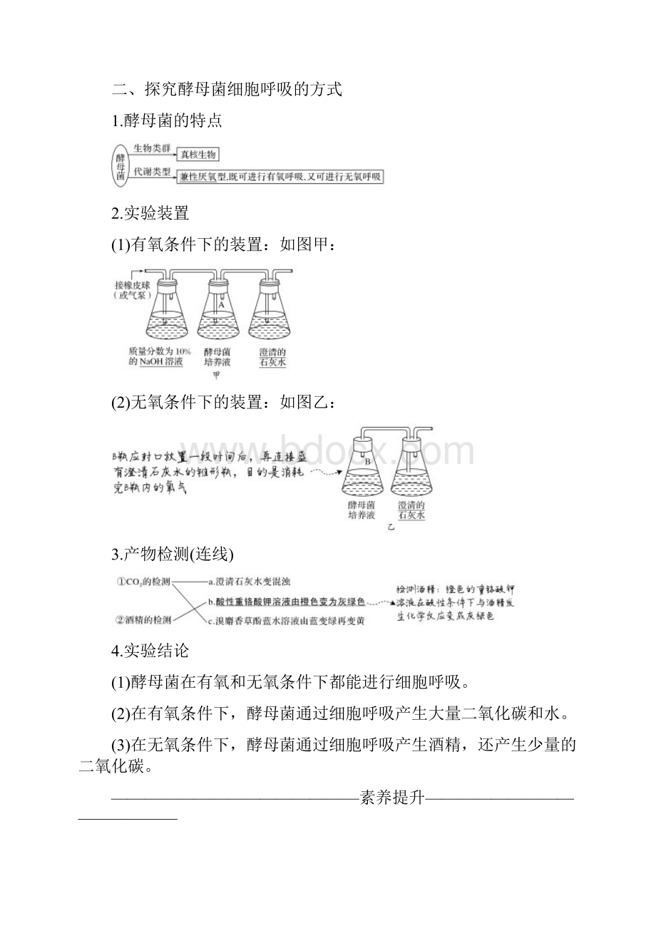 第1课时 细胞呼吸的方式和有氧呼吸过程.docx_第2页