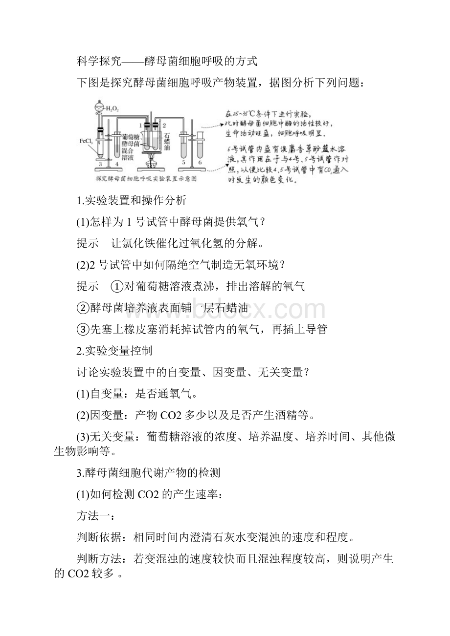 第1课时 细胞呼吸的方式和有氧呼吸过程.docx_第3页