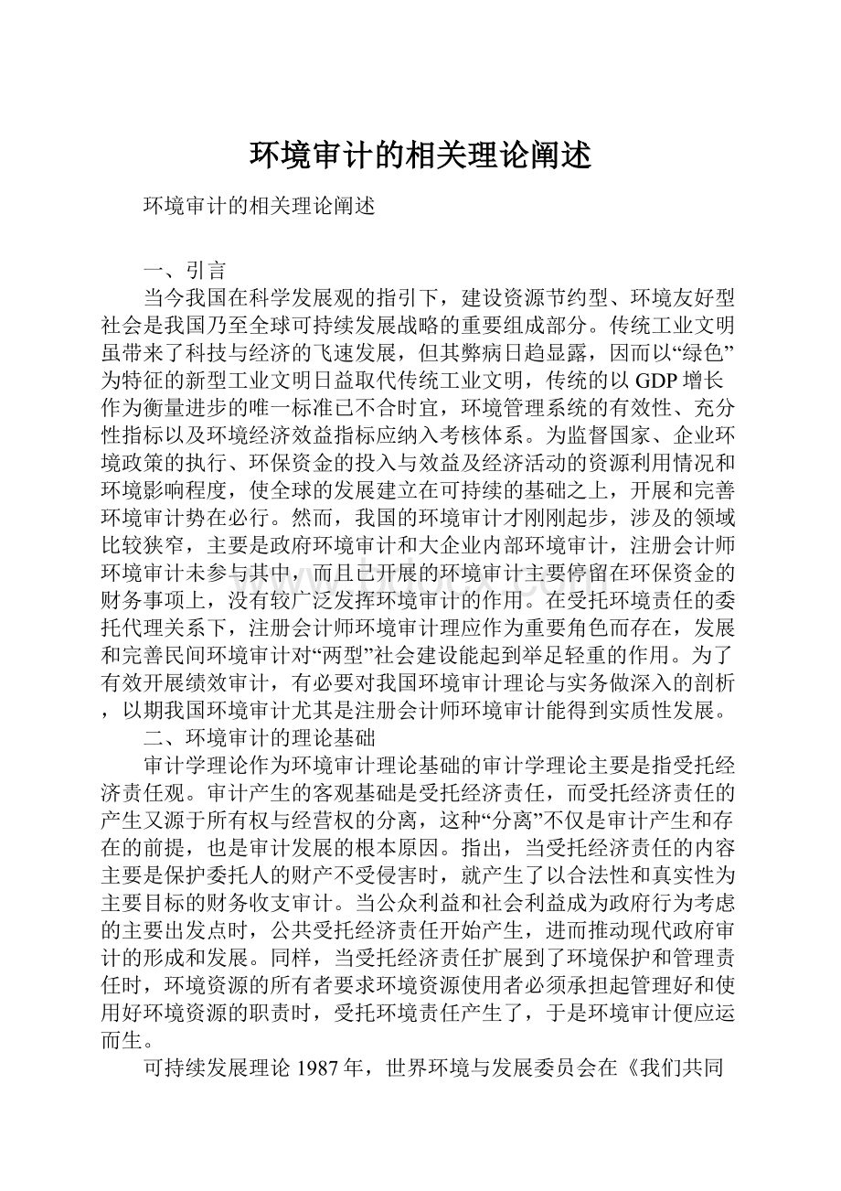 环境审计的相关理论阐述.docx