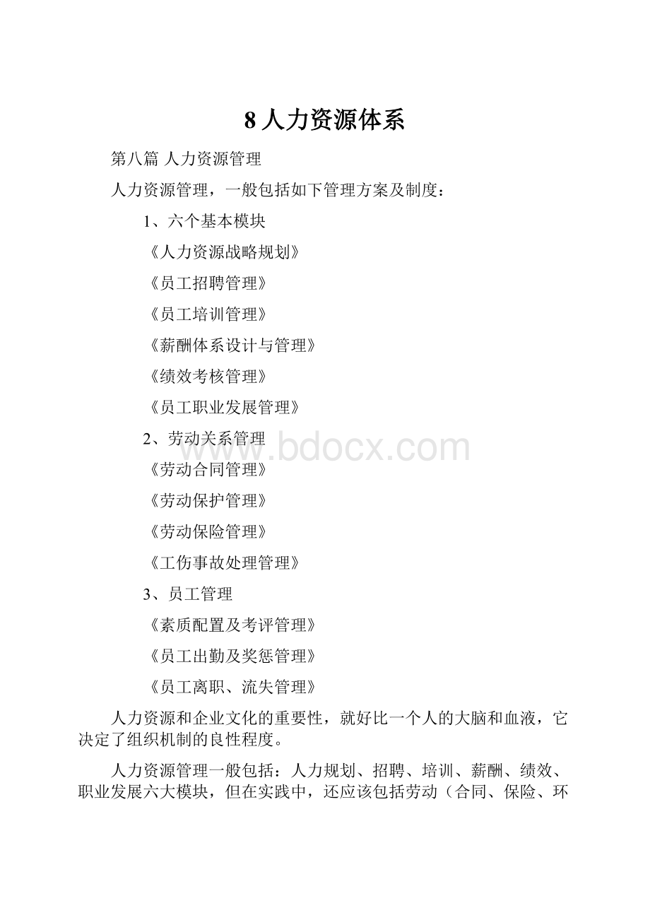 8人力资源体系Word格式文档下载.docx