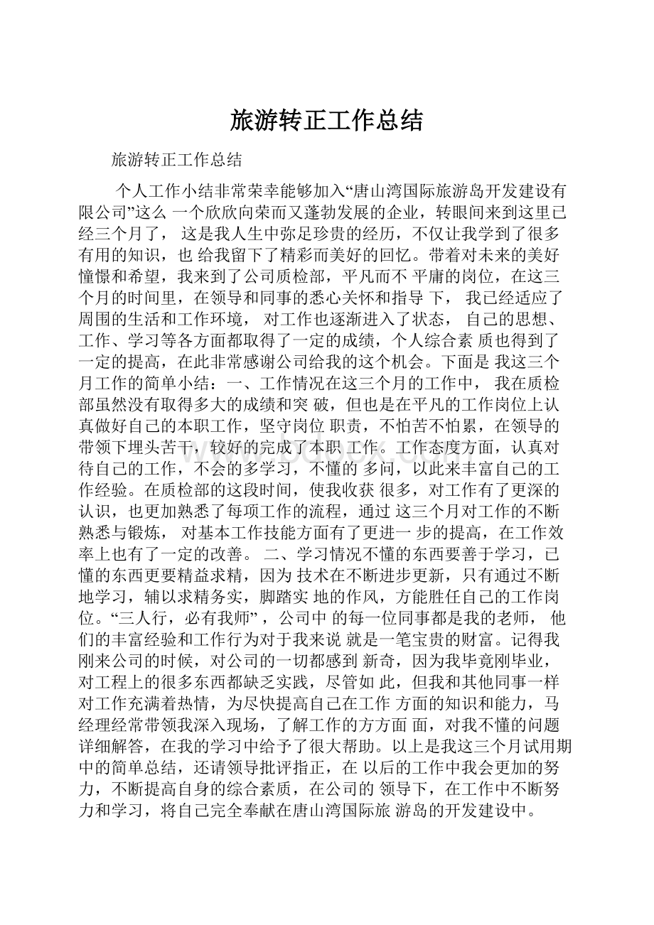 旅游转正工作总结Word文件下载.docx