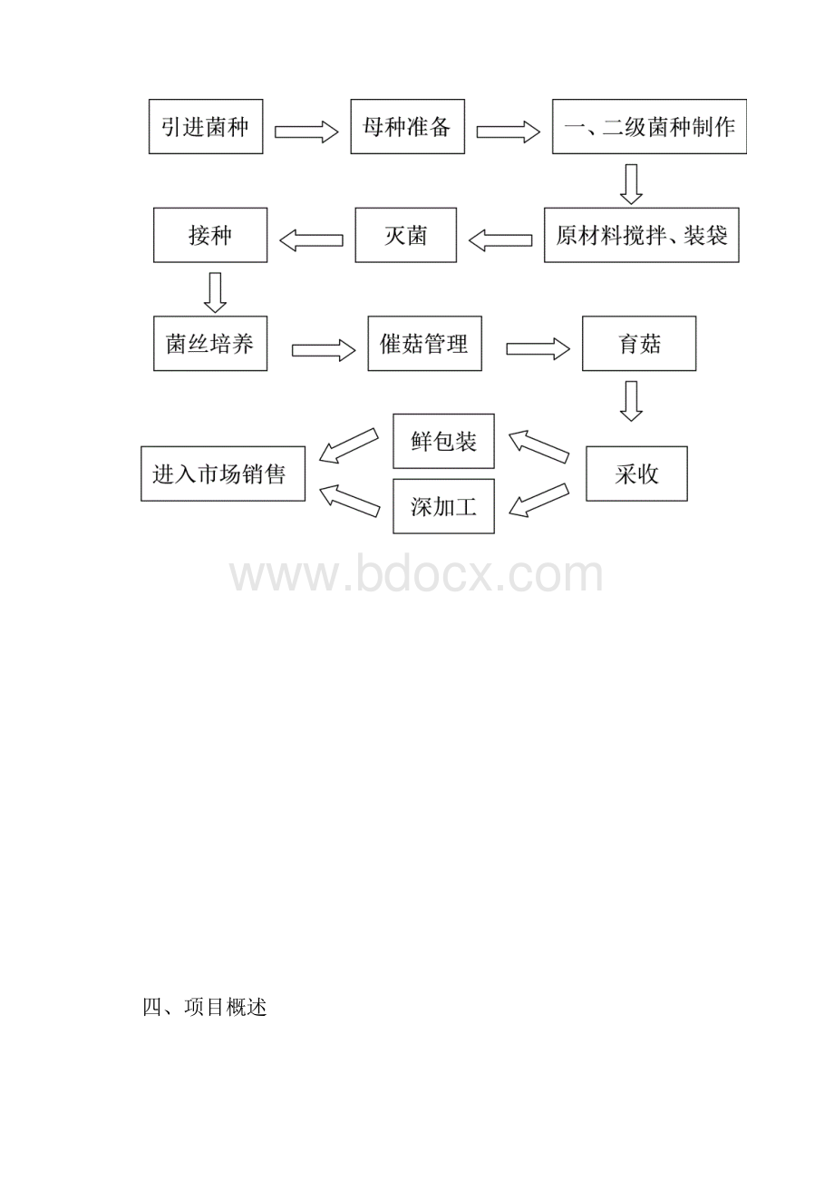 食用菌杏鲍菇产业化车间投资项目可行性方案.docx_第3页