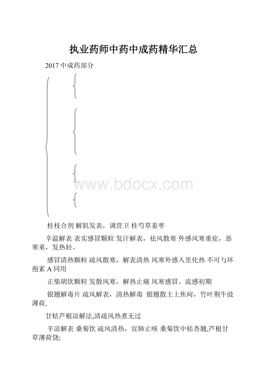 执业药师中药中成药精华汇总Word格式文档下载.docx