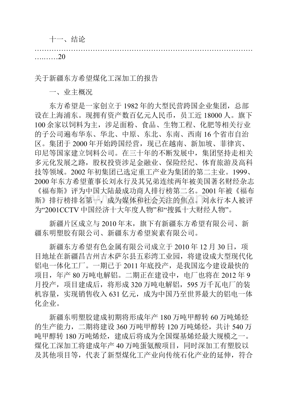 关于新疆东方希望煤化工深加工的报告.docx_第2页