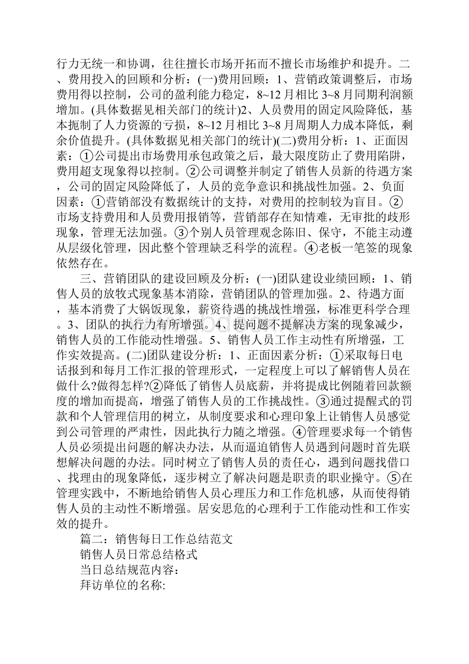 销售每日工作总结表文档格式.docx_第2页