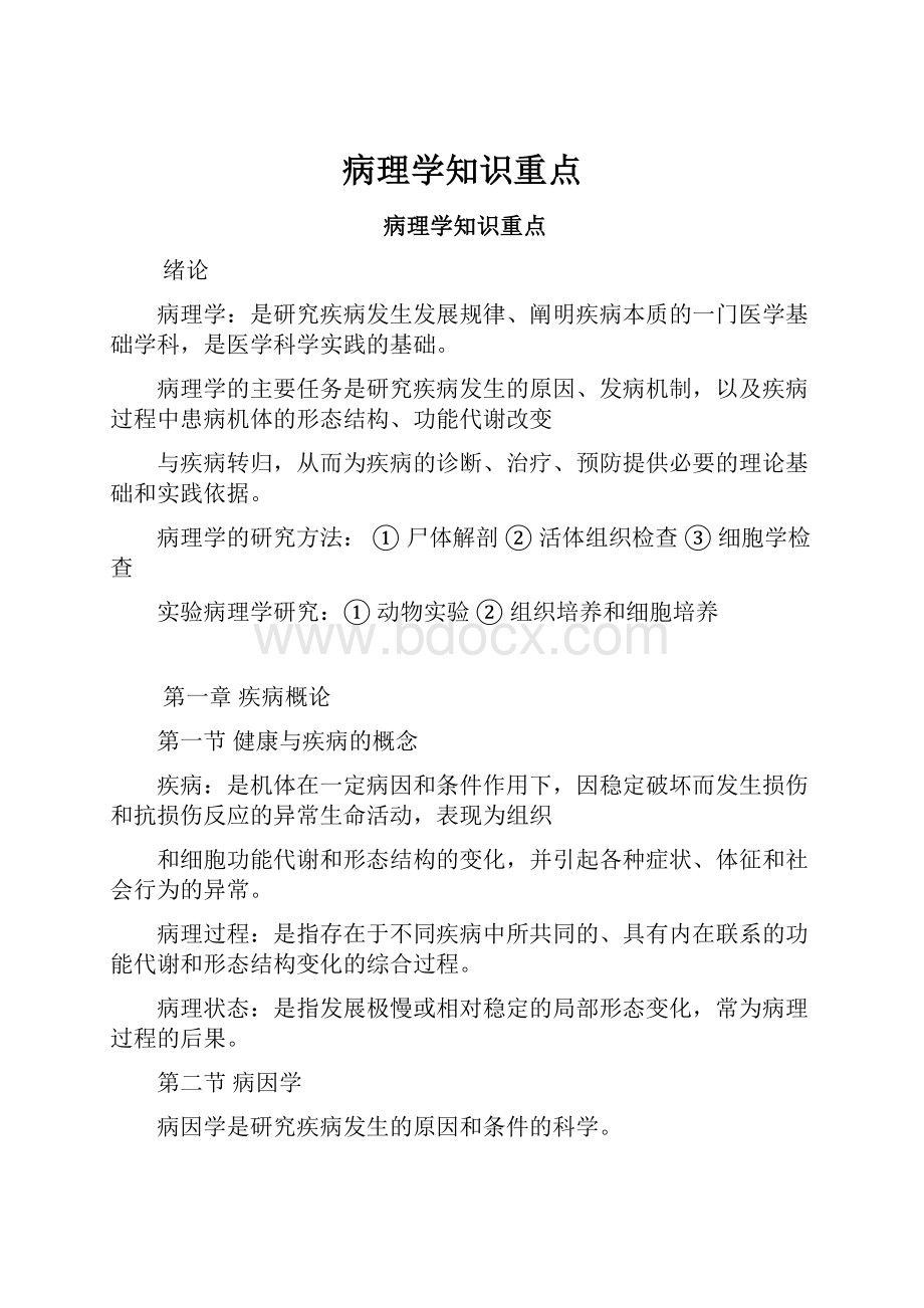 病理学知识重点文档格式.docx