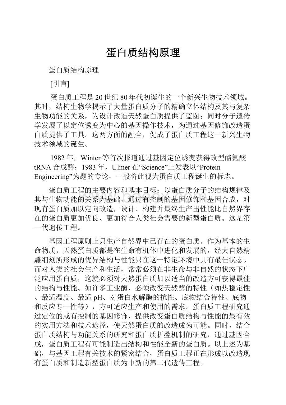 蛋白质结构原理Word文件下载.docx