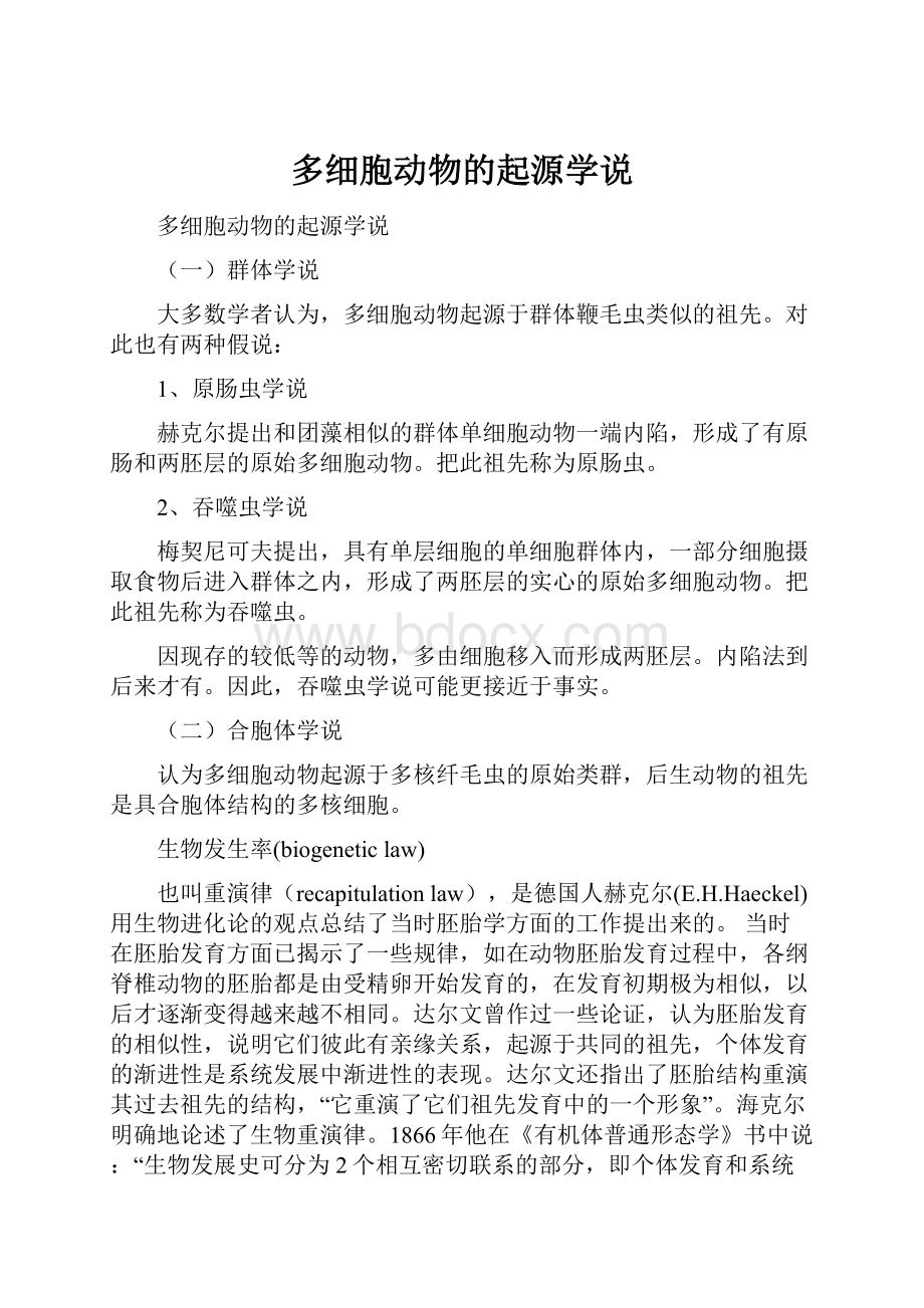 多细胞动物的起源学说.docx_第1页