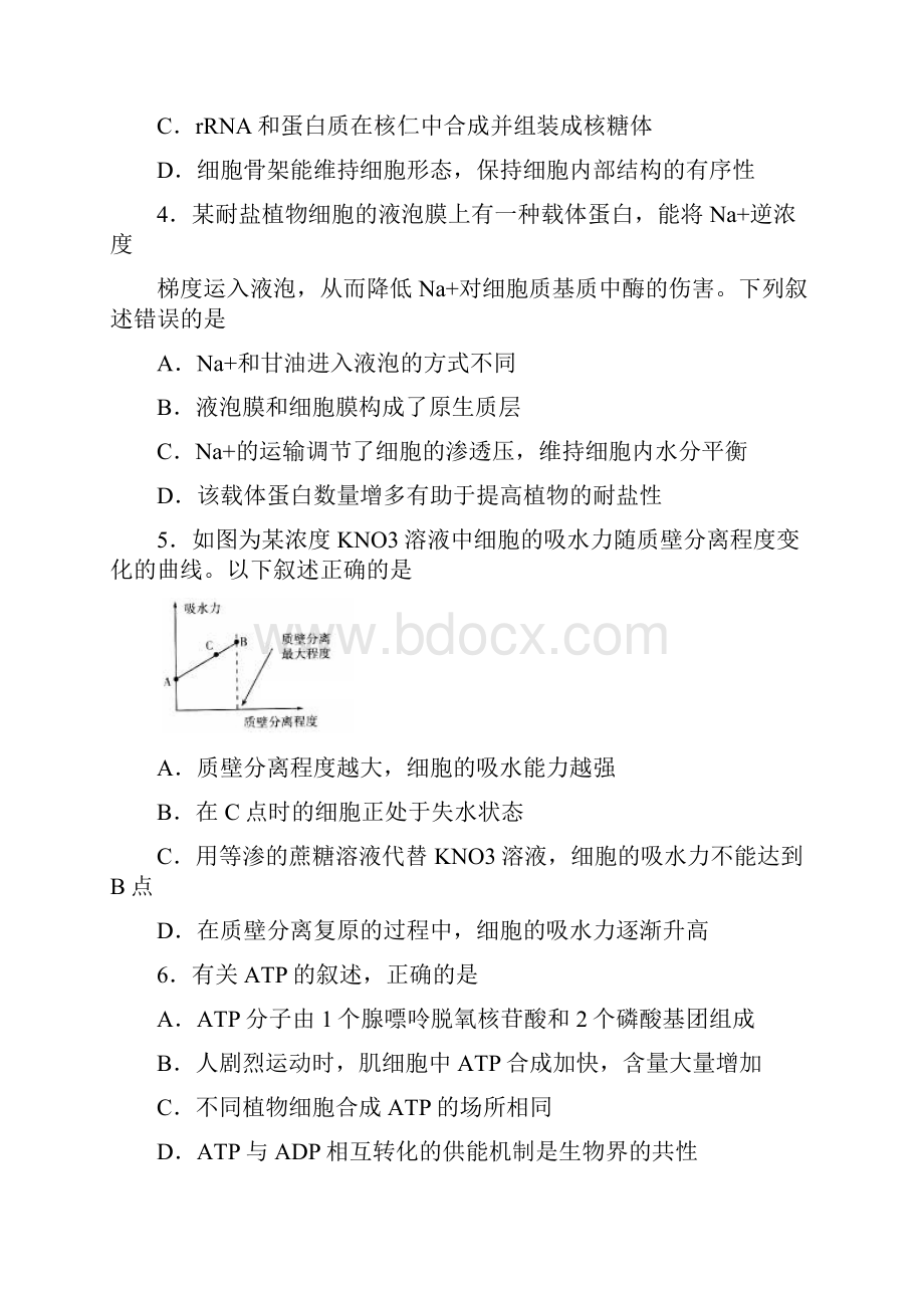 山东省乳山一中届高三上学期期末检测生物试题含答案.docx_第2页