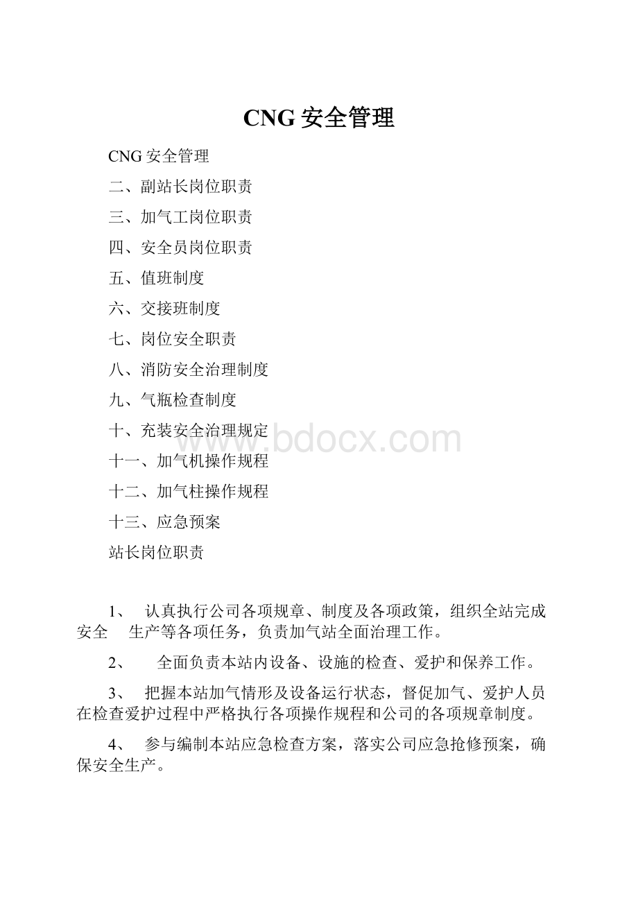 CNG安全管理Word下载.docx