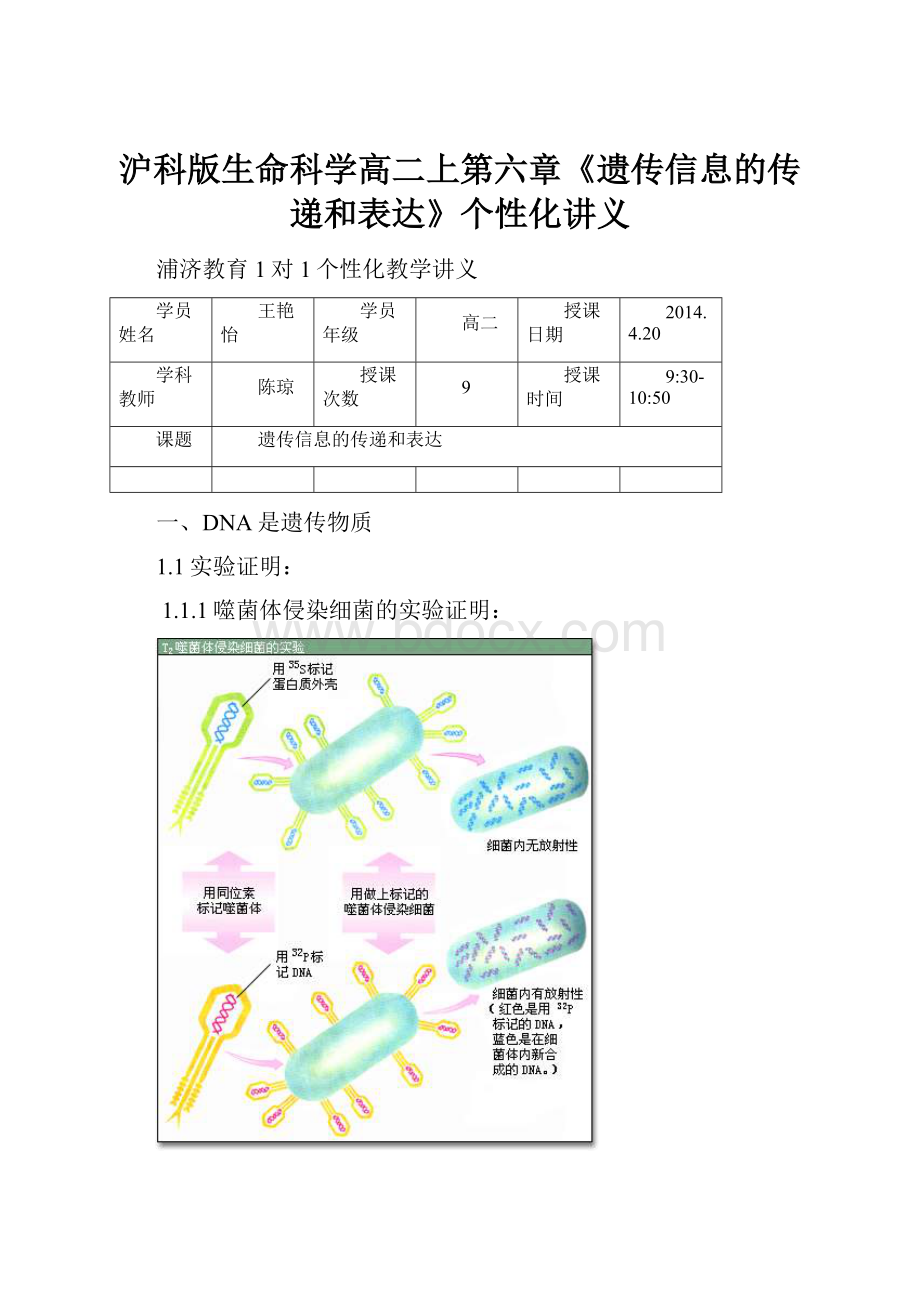 沪科版生命科学高二上第六章《遗传信息的传递和表达》个性化讲义.docx_第1页