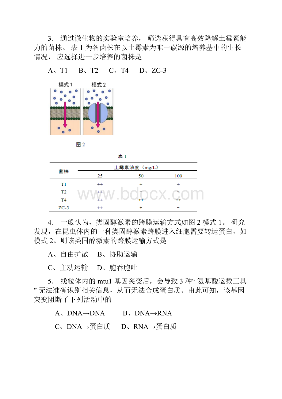 秋崇明区秋高二高三第一学期期末一模学科质量检测生物试题及答案精docWord文档下载推荐.docx_第2页