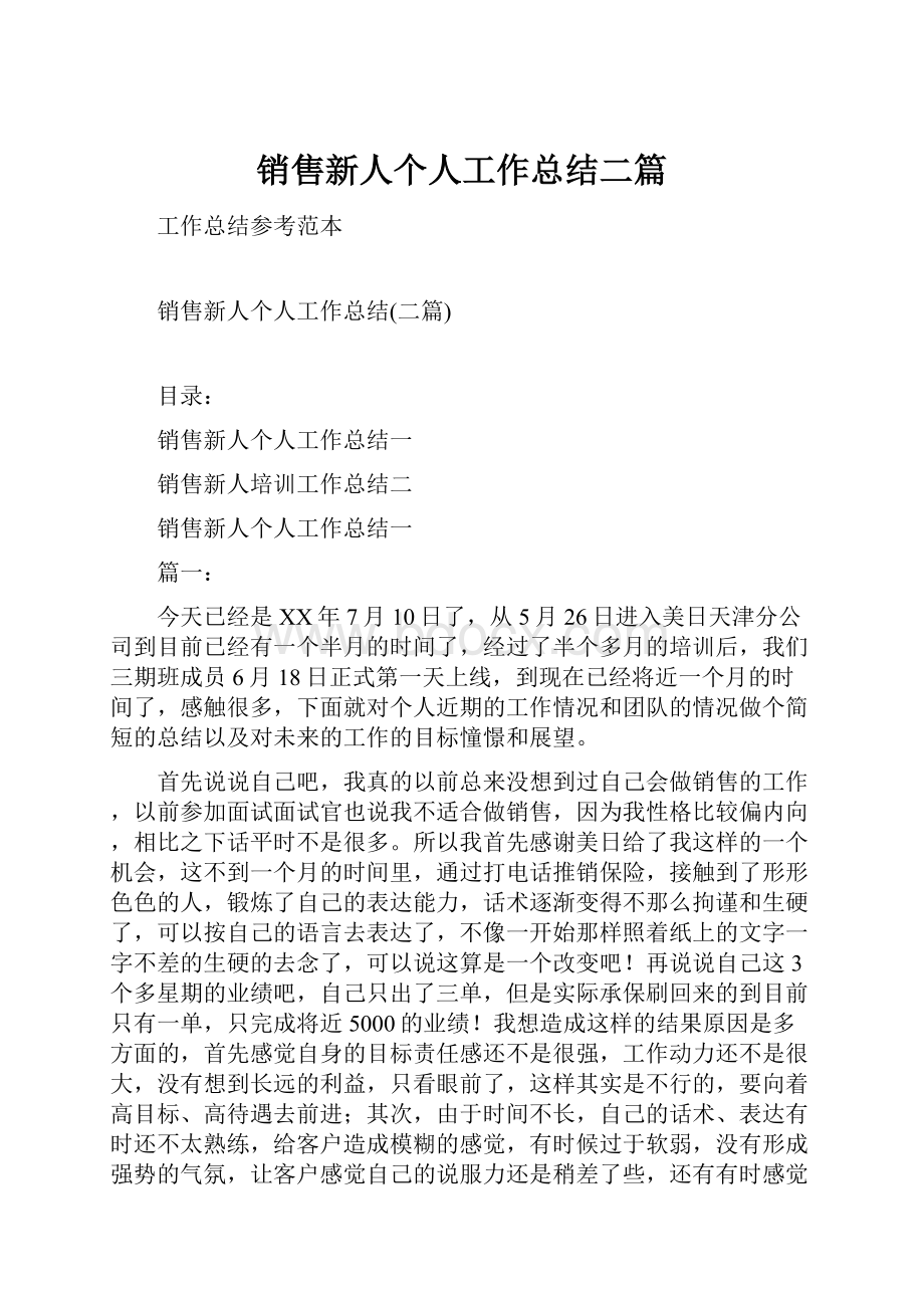 销售新人个人工作总结二篇Word文档下载推荐.docx