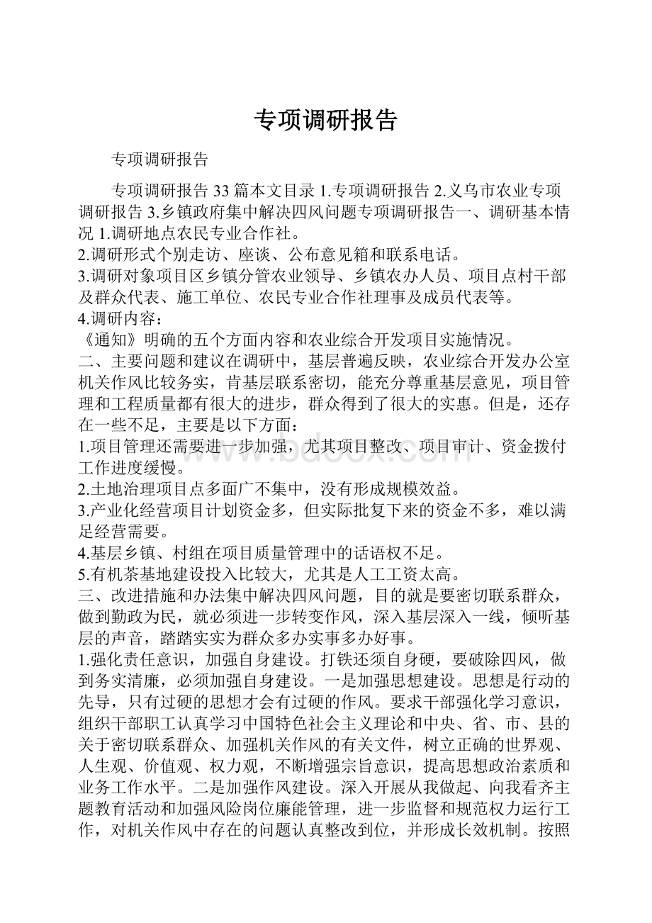 专项调研报告文档格式.docx