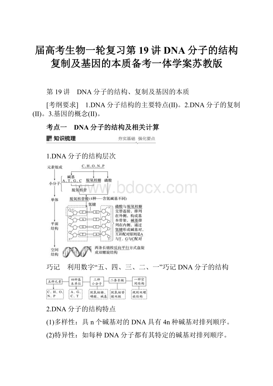 届高考生物一轮复习第19讲DNA分子的结构复制及基因的本质备考一体学案苏教版.docx_第1页