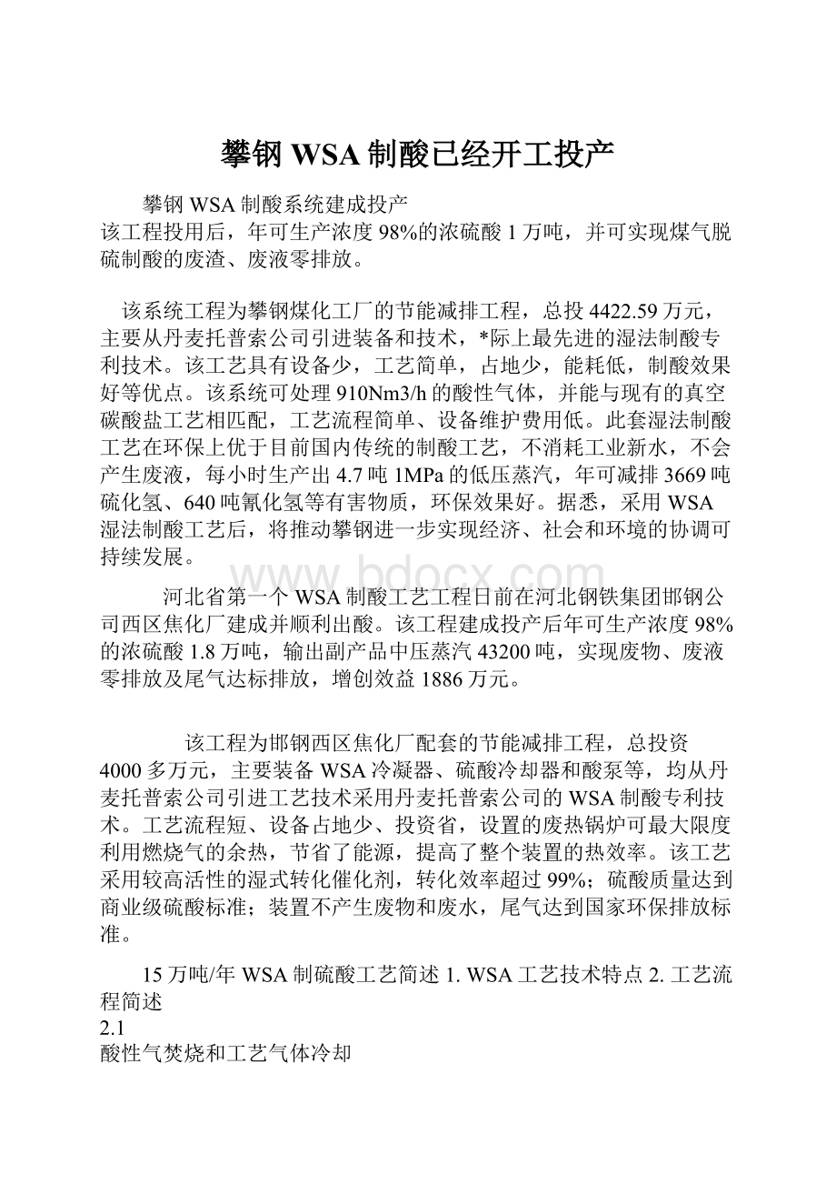 攀钢WSA制酸已经开工投产.docx