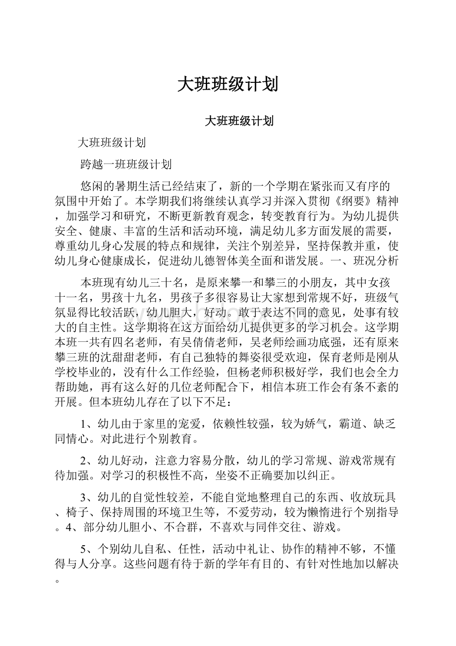 大班班级计划Word文档下载推荐.docx