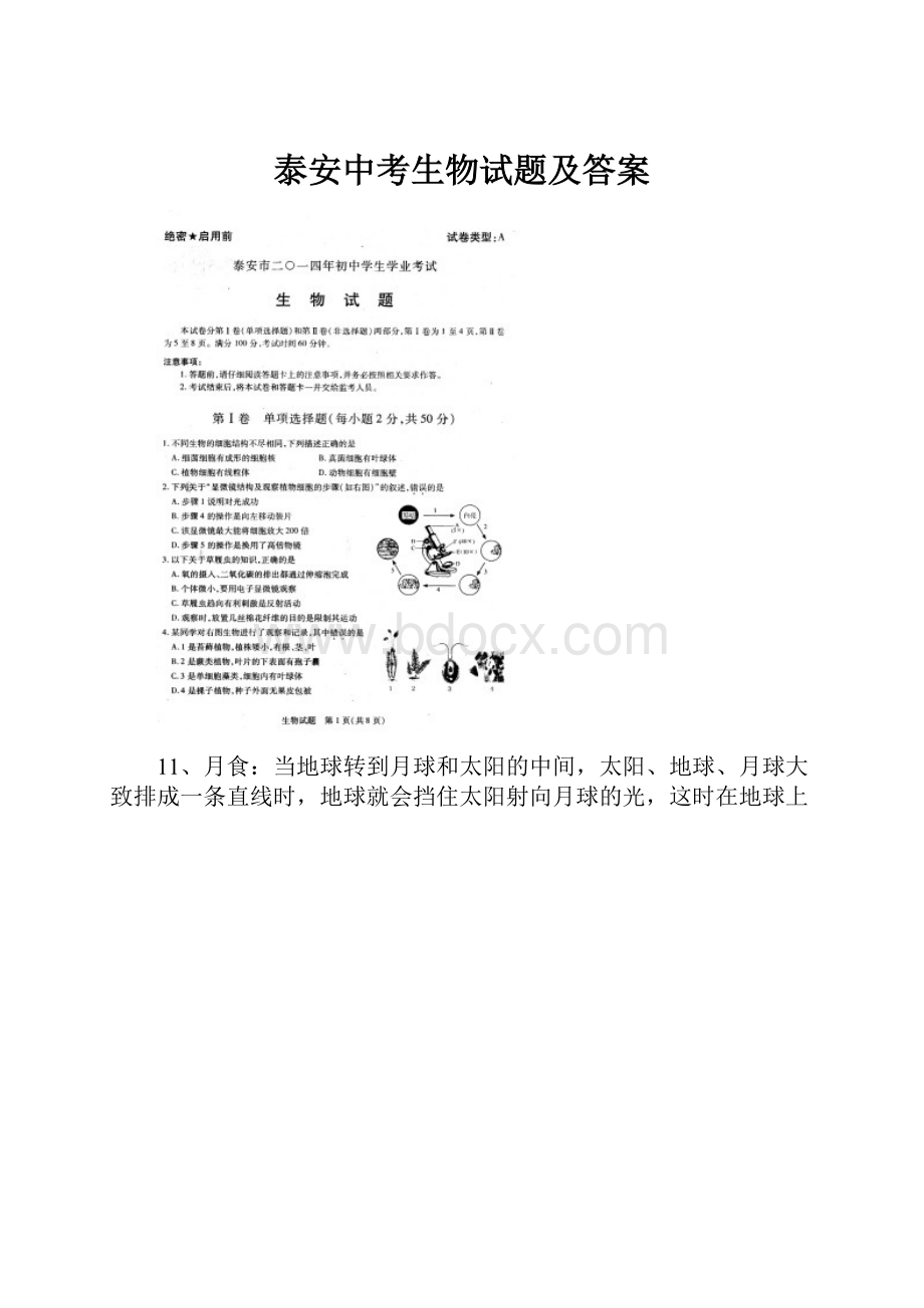 泰安中考生物试题及答案.docx