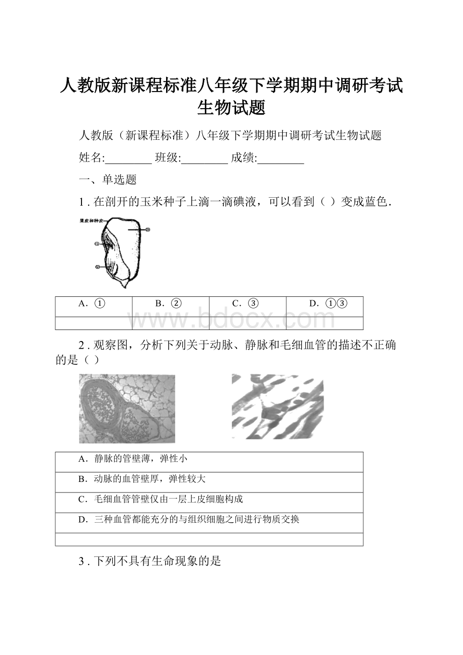 人教版新课程标准八年级下学期期中调研考试生物试题文档格式.docx_第1页