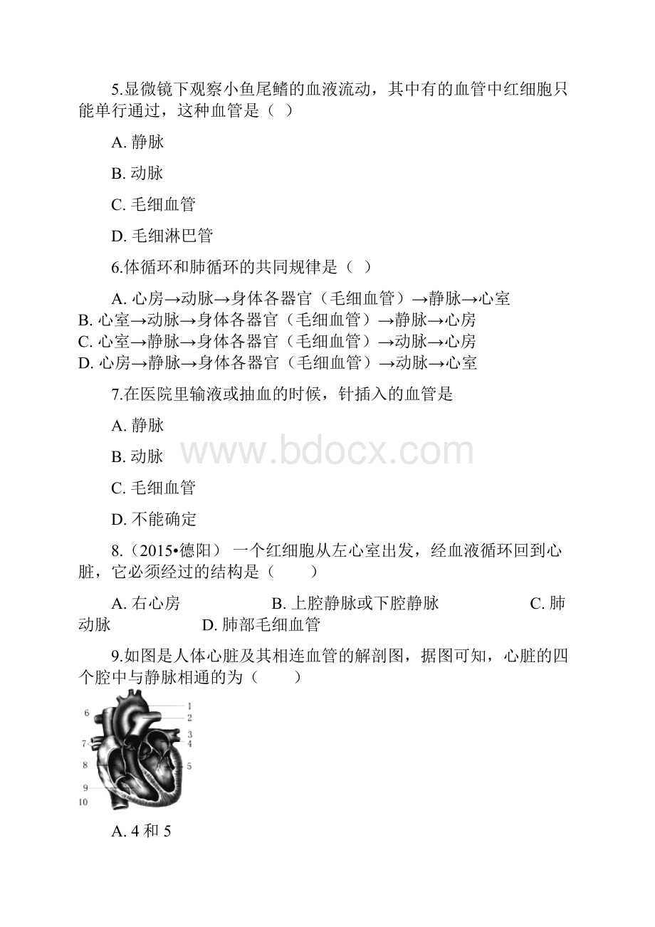 七年级生物下册 第九章 第二节 血液循环同步测试 新版北师大版.docx_第2页