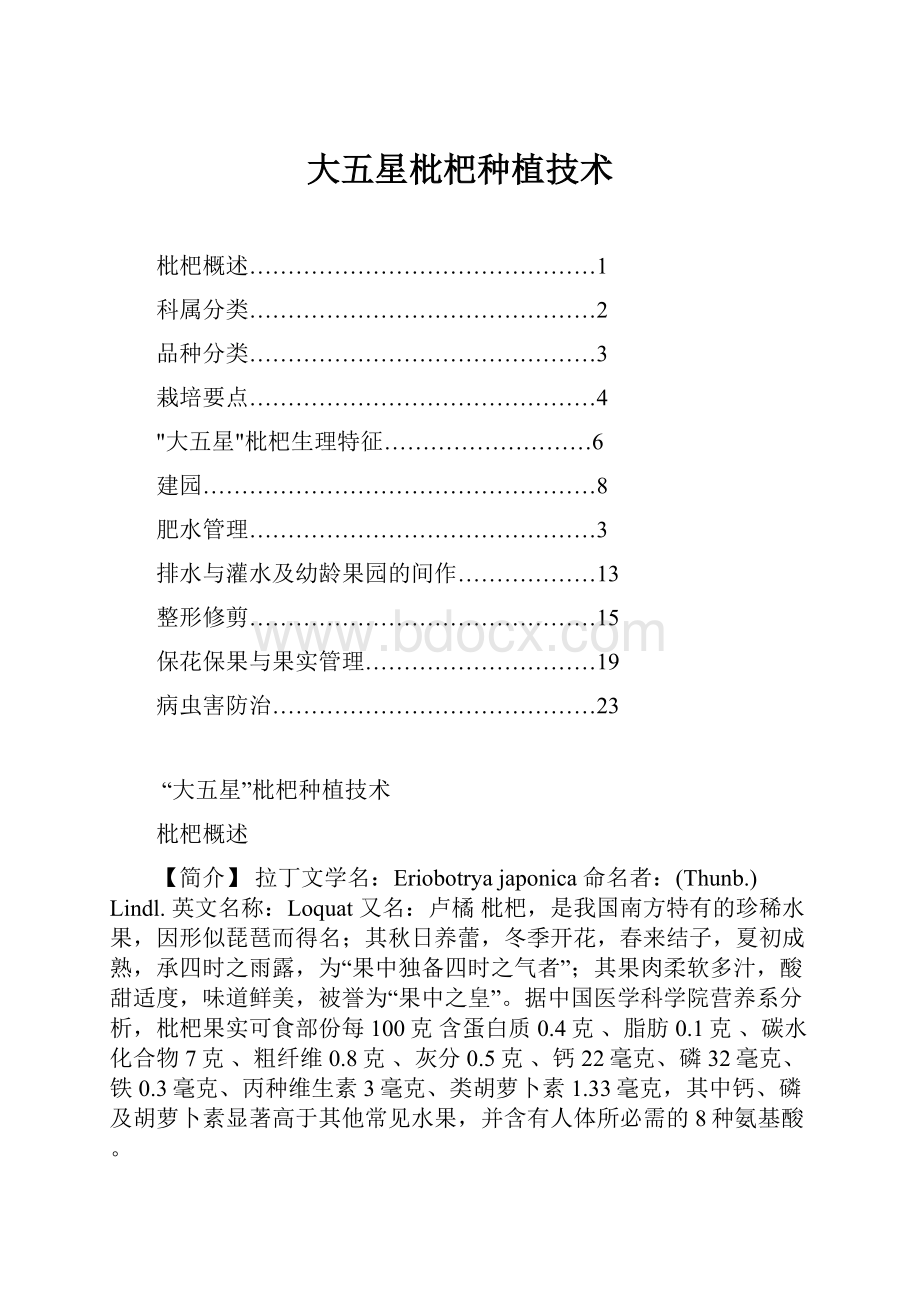 大五星枇杷种植技术.docx_第1页