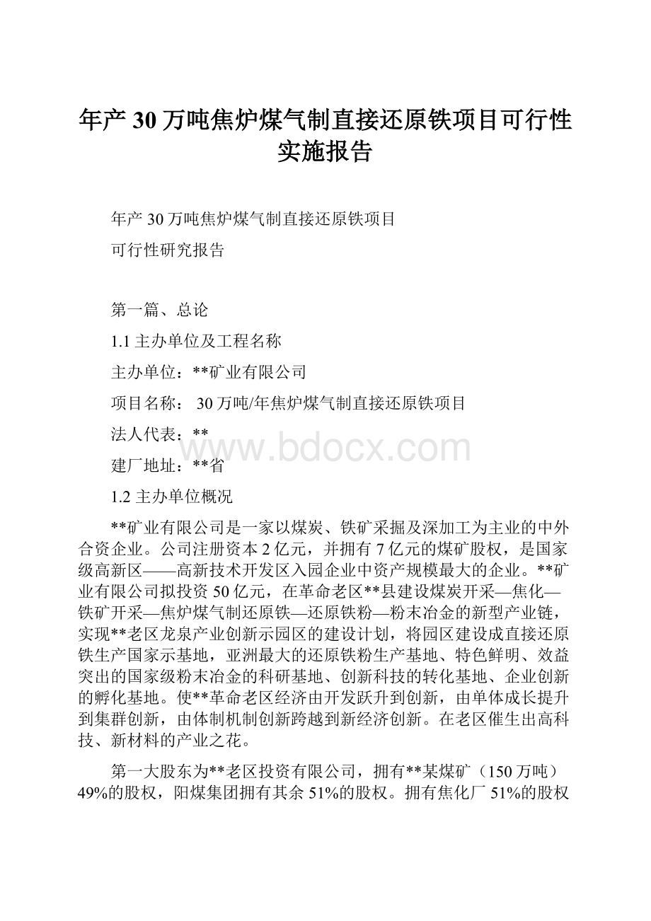 年产30万吨焦炉煤气制直接还原铁项目可行性实施报告Word格式文档下载.docx_第1页