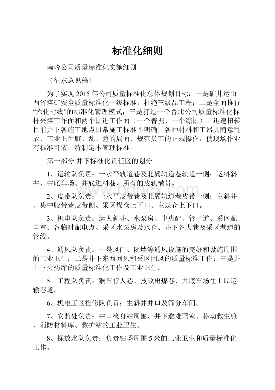 标准化细则Word文档下载推荐.docx