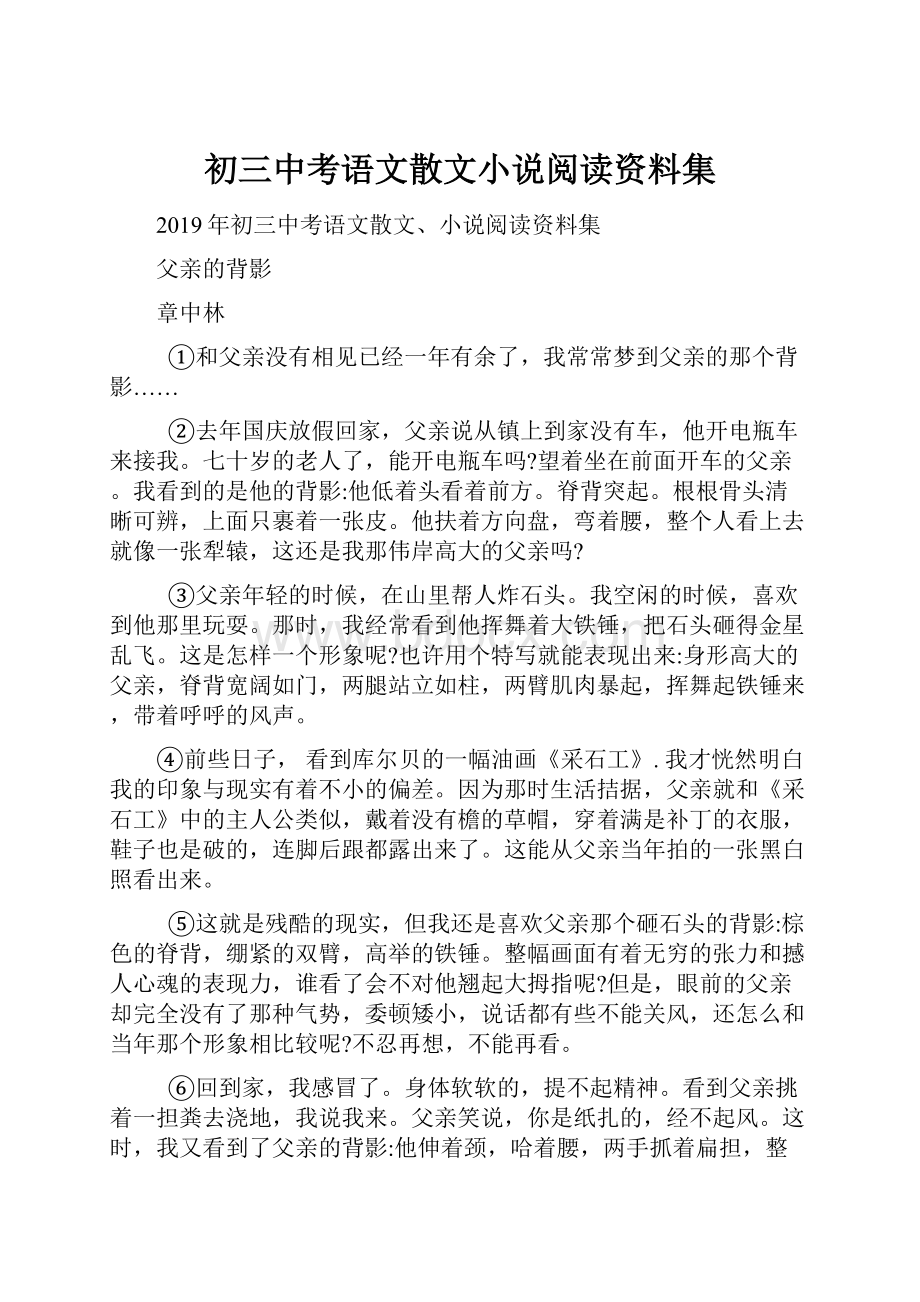 初三中考语文散文小说阅读资料集Word下载.docx