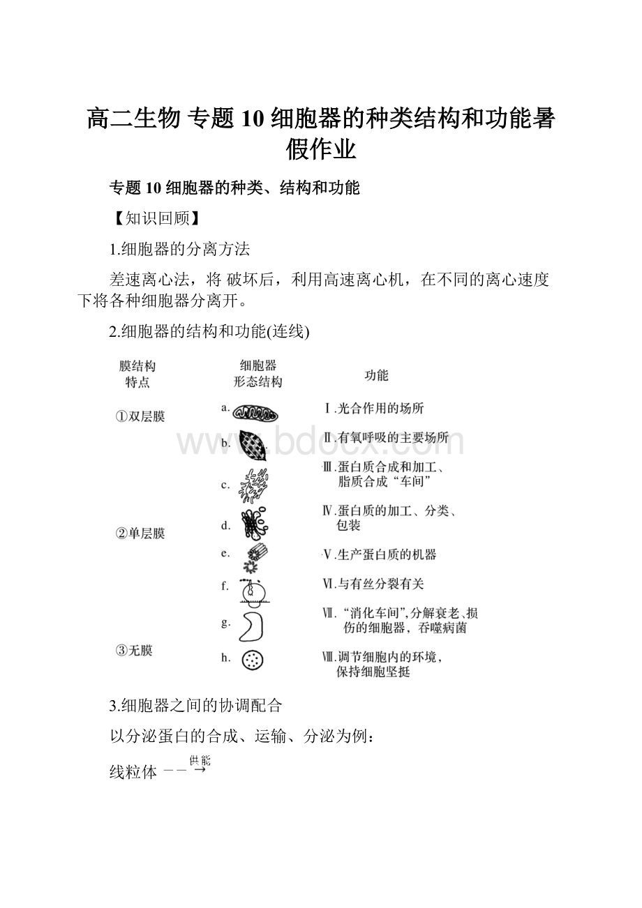 高二生物 专题10 细胞器的种类结构和功能暑假作业Word格式.docx