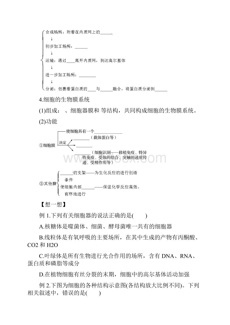 高二生物 专题10 细胞器的种类结构和功能暑假作业.docx_第2页