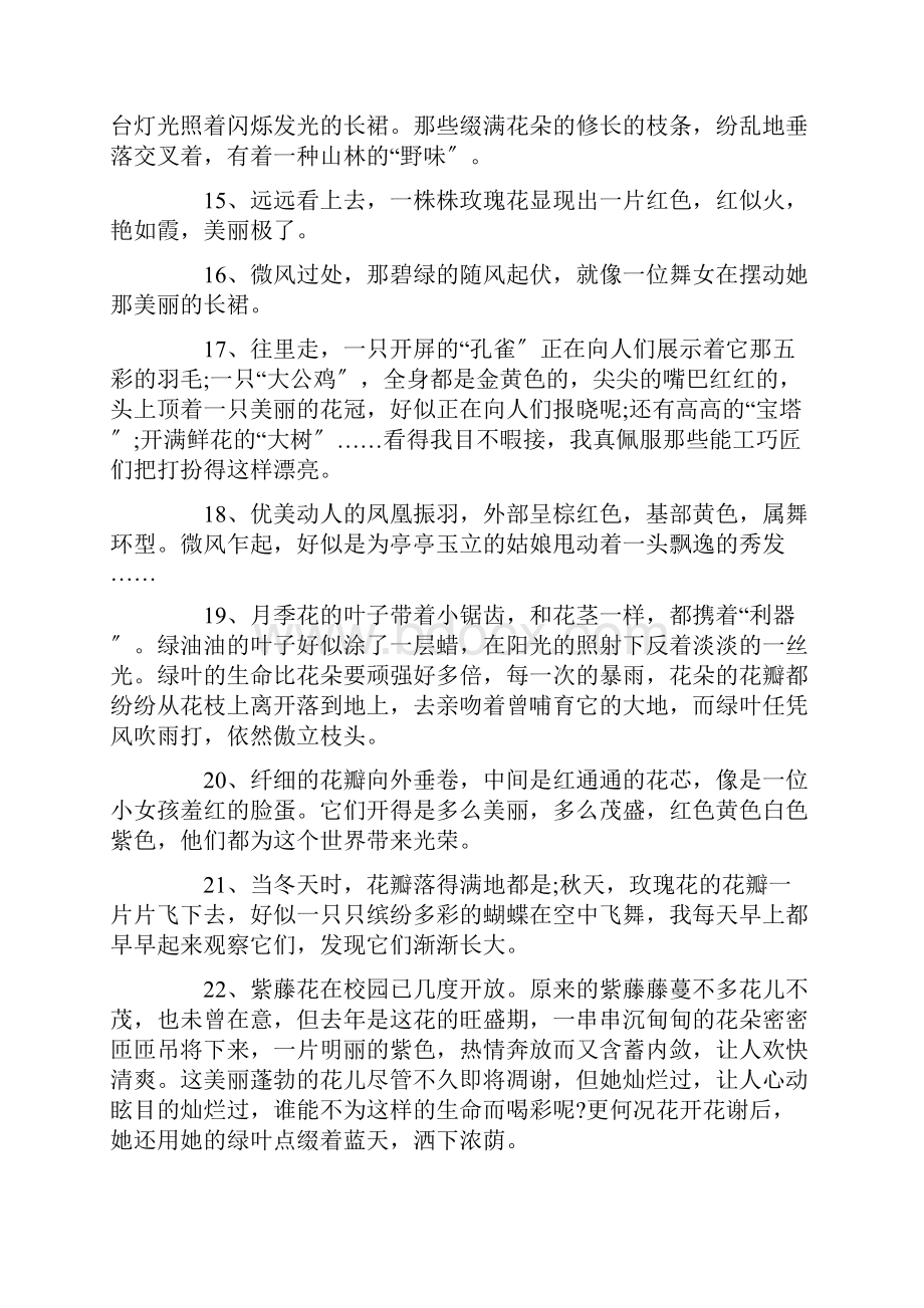 形容花朵绽放的美丽姿态的优美句子大全文档格式.docx_第3页