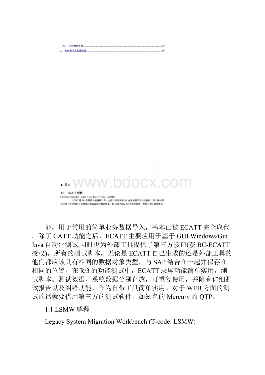 SAP批导入处理培训教程doc 98页Word格式.docx_第3页