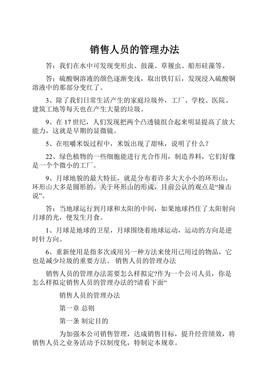 销售人员的管理办法文档格式.docx