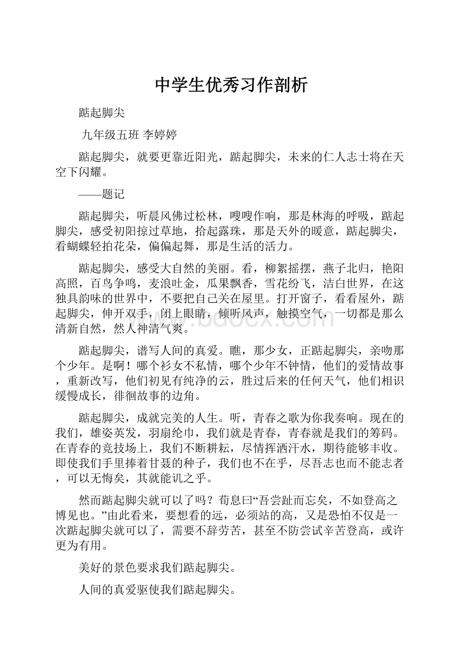 中学生优秀习作剖析Word格式文档下载.docx