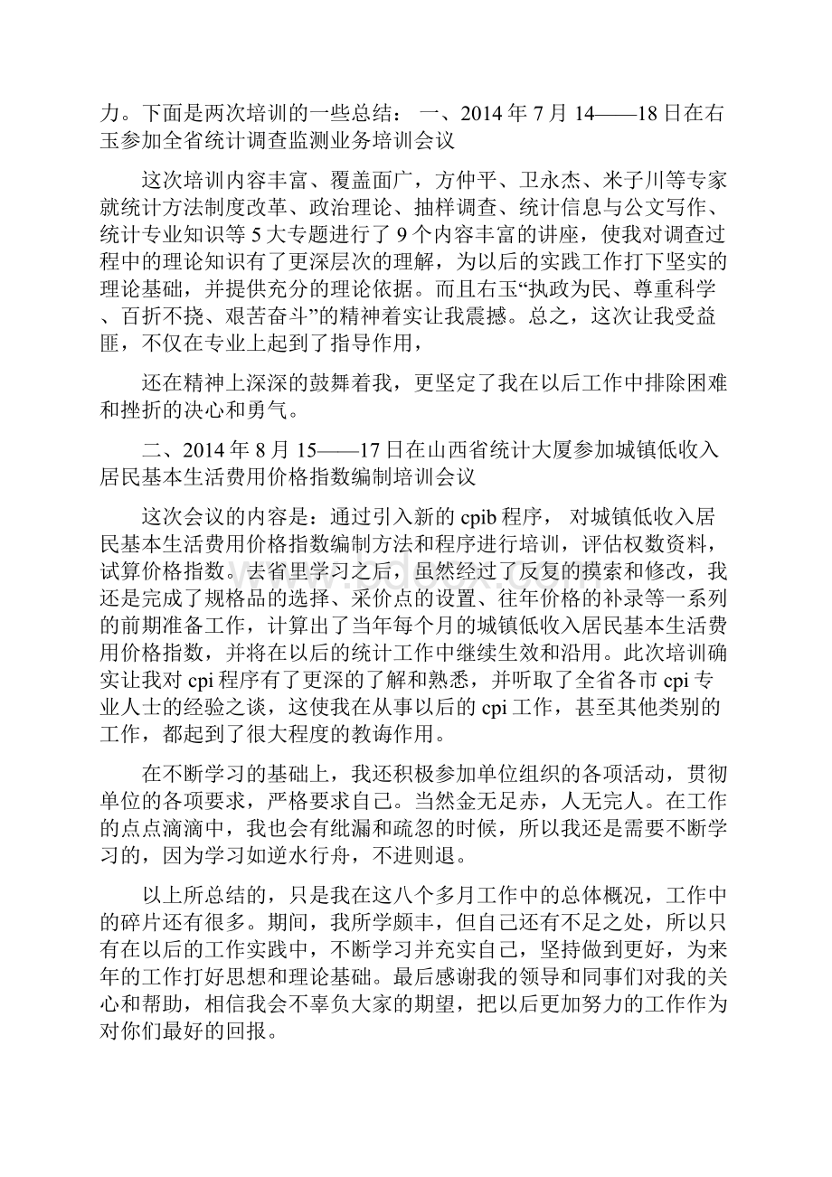 统计工作总结精选多篇.docx_第2页